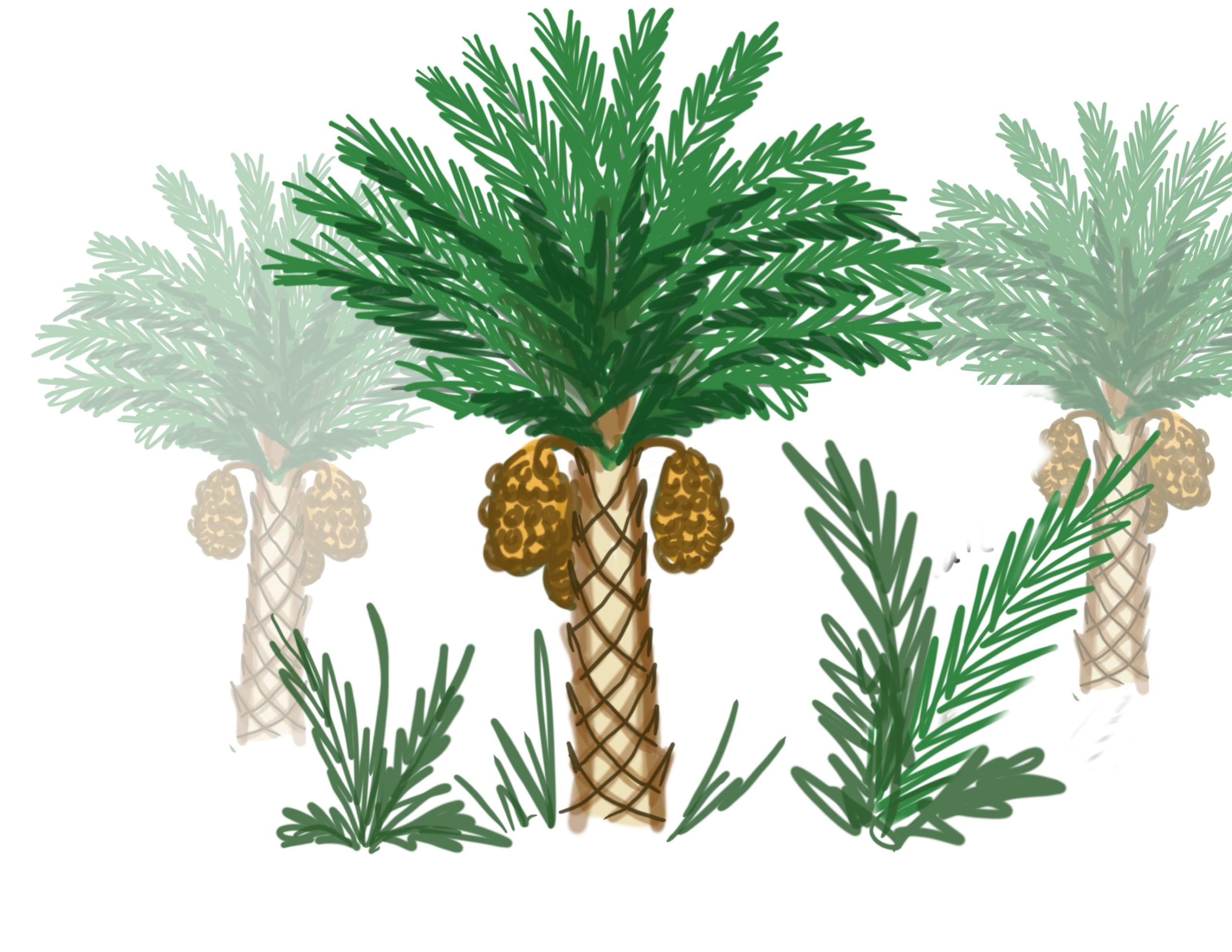 Draw Holy WeekPalm Sunday Drawing Demystified